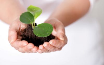 Preparing for the Best Commercial Loan Rates Through Credit Repair